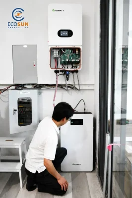 ECOSUN tư vấn lắp hệ điện mặt trời và pin lưu trữ Growatt